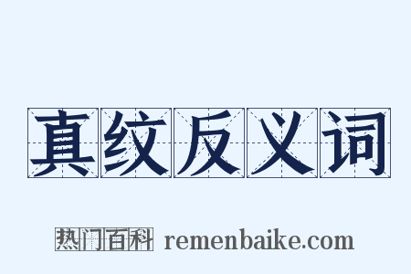 真纹反义词是什么意思的图片